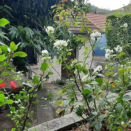 别墅 Jolie Maison Modulable De 4 A 6 Lits Avec Jardinet 伊格涅